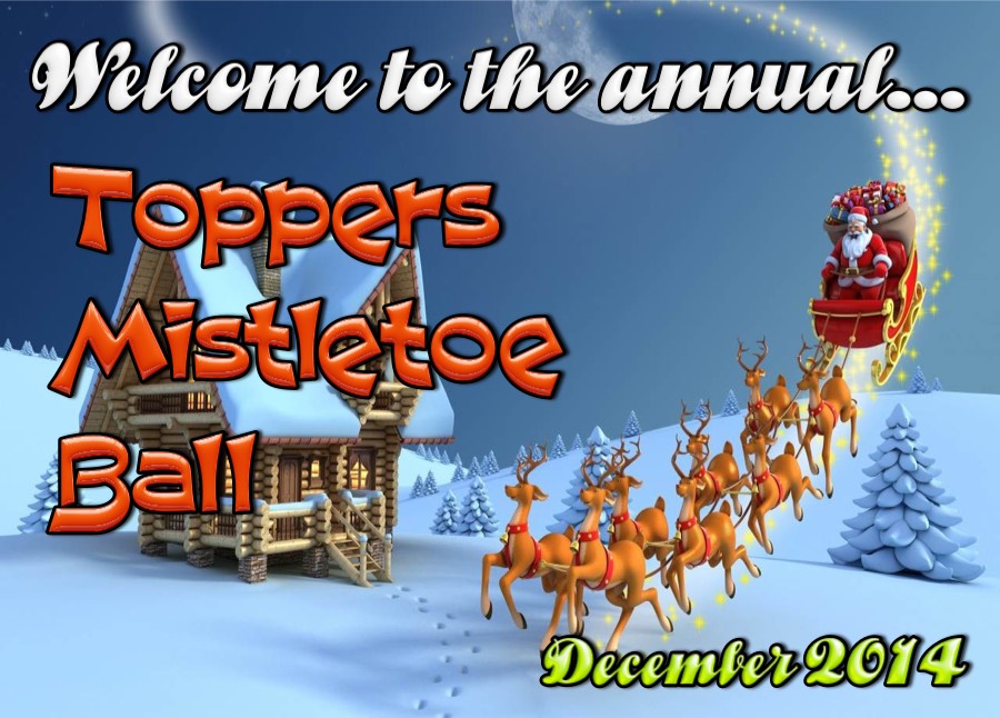 Topper's 2014 Mistletoe Ball