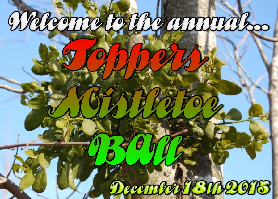 Topper's Mistletoe Ball 12/18/2015