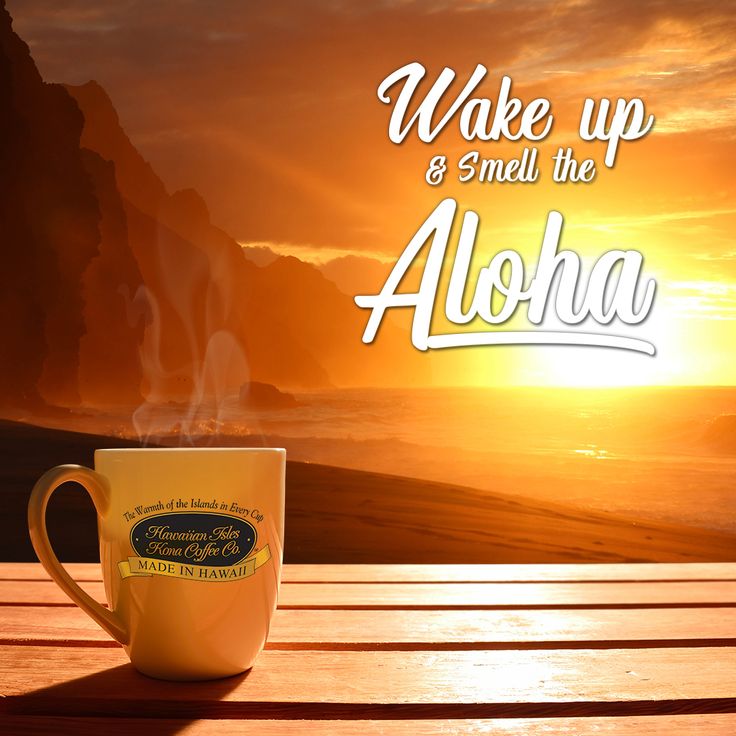 2026/3/24 Tuesday In Hawaii