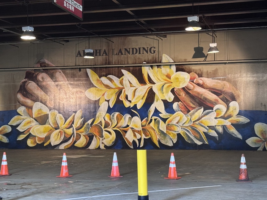 2026/03/27 City Tour Of Honolulu And Surrouonding Areas