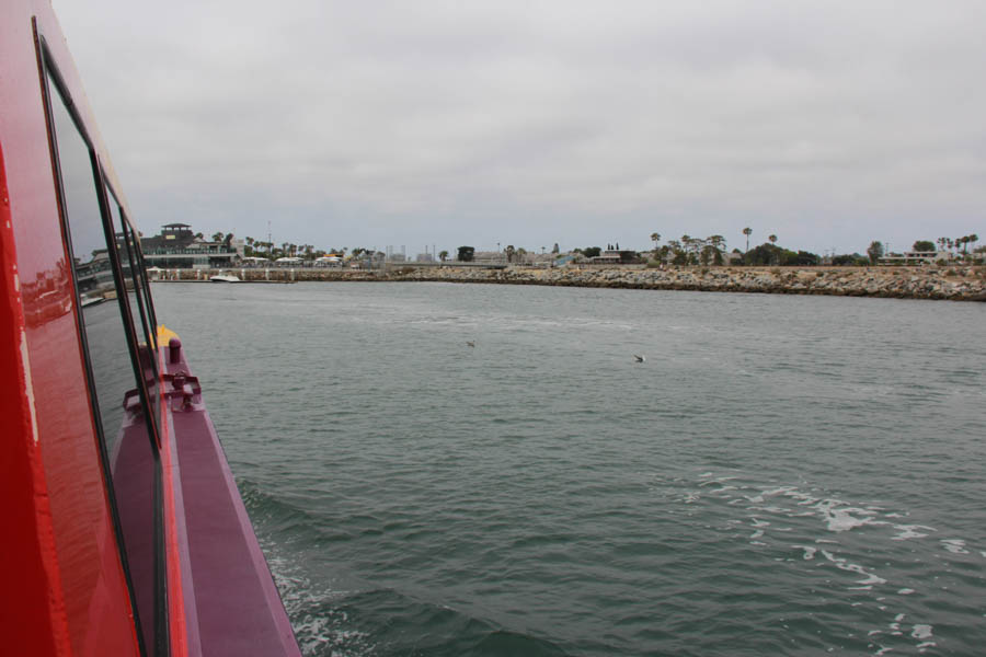 July 1st 2016 Water Taxi Adventure